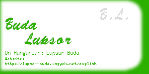 buda lupsor business card